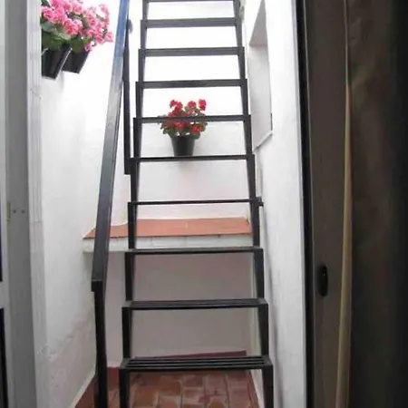 Pintada 109 * Нерха